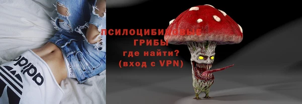 стаф Алексеевка