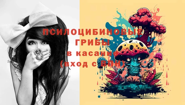 не бодяженный Абаза
