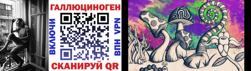 kraken   Ухта  Псилоцибиновые грибы Cubensis 